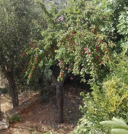 Al Paradiso